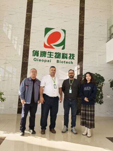 مهندس حسن حاج علی