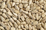 گردو پوست کنده